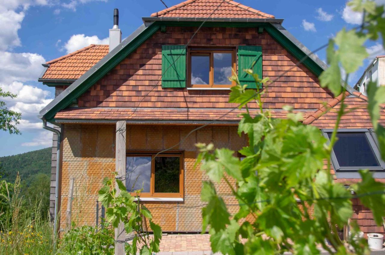 Le Gite Du Wildbach Wildersbach Exteriér fotografie